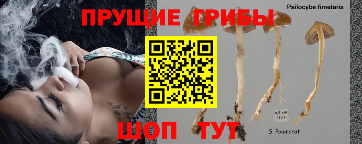 Галлюциногенные грибы ЛСД Нальчик